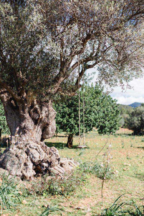 Es Cabas Guest house Santa Maria del Cami (Mallorca)